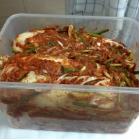 韩式泡菜的做法图解4