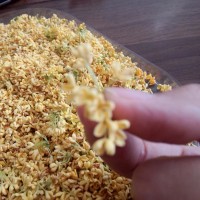香甜桂花蜜的做法图解1