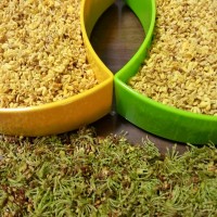 香甜桂花蜜的做法图解2