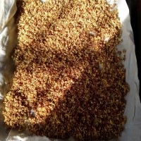 香甜桂花蜜的做法图解3