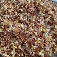 香甜桂花蜜的做法图解5