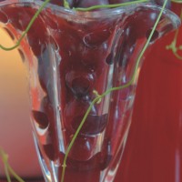 自酿葡萄酒的做法图解4