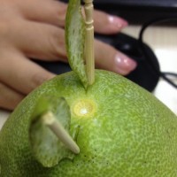 柚子龙猫的做法图解7