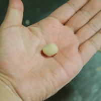 莜面鱼鱼的做法图解4