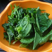 菠菜拌腐竹的做法图解2