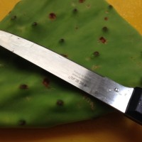 培根仙人掌墨西哥卷饼的做法图解1