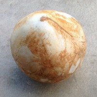 椰子炖蛋的做法图解1