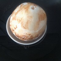 椰子炖蛋的做法图解6
