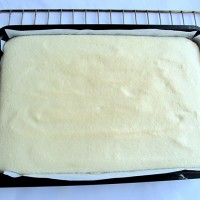 《莉莎美食》戚风蛋糕卷的做法图解4