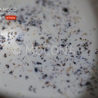美貌天成-小红莓大理石芝士蛋糕的做法 图解7 -->