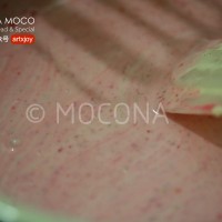 美貌天成-小红莓大理石芝士蛋糕的做法 图解15 -->