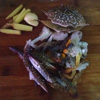 螃蟹白菜炖豆腐的做法 图解2 -->