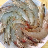 薄荷虾煎的做法 图解1 -->