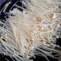 白灼金针菇的做法 图解2 -->