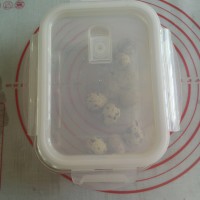 苏格兰炸蛋的做法 图解2 -->