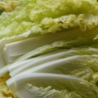 酸辣白菜的做法 图解3 -->