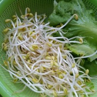 油泼面的做法 图解1 -->