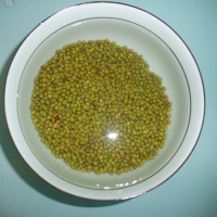 莲子绿豆沙的做法 图解1 -->
