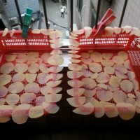 自制香酥薯片的做法 图解9 -->