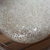 厦日缤纷水果椰浆西米捞的做法 图解1 -->