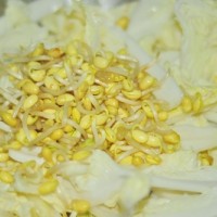 韩式白菜炖蛤蜊的做法 图解6 -->