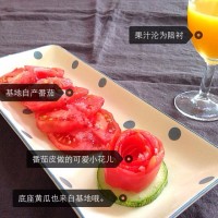 糖渍番茄的做法 图解7 -->
