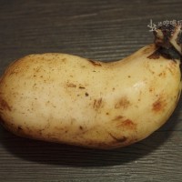 炝拌藕片的做法 图解1 -->