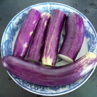 微波炉茄子的做法 图解9 -->