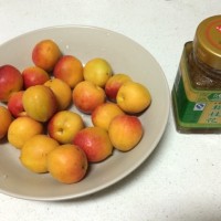 桂花蜜杏的做法 图解1 -->
