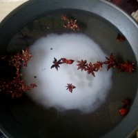 泡豇豆-酸豆角的做法 图解2 -->