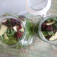 泡豇豆-酸豆角的做法 图解4 -->
