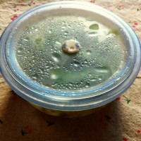 夏日超简易自制凉品-冰镇糖醋黄瓜的做法 图解6 -->