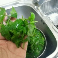 炝拌菊花菜的做法 图解1 -->