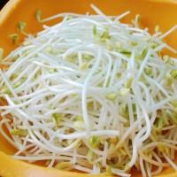 辣拌黄豆芽的做法 图解1 -->