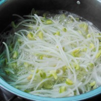 辣拌黄豆芽的做法 图解3 -->