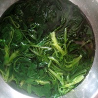 浇汁菠菜的做法 图解1 -->