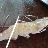 世界杯美食——烤虾串的做法 图解2 -->