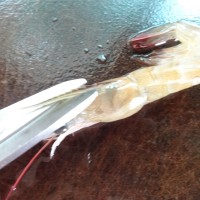 世界杯美食——烤虾串的做法 图解3 -->
