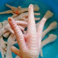 籭ؼռצӵ ͼ1 -->