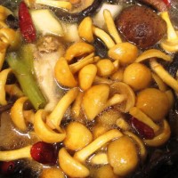 #12道锋味复刻#小鸡炖蘑菇的做法 图解4 -->