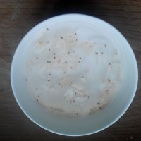 虾皮蒸蛋的做法 图解2 -->
