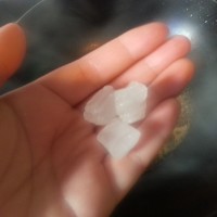 老宁波风味熏鱼的做法 图解6 -->