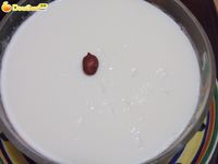 双皮奶的做法 图解5 -->