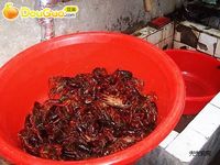 麻辣小龙虾的做法 图解1 -->