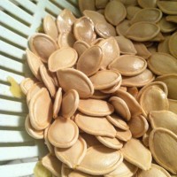鬼节南瓜灯的做法 图解5 -->