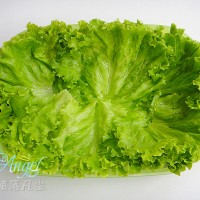 喵星人便当的做法 图解8 -->