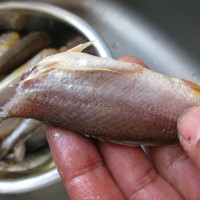 小黄鱼豆腐汤的做法 图解2 -->