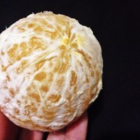 两种方法巧剥橙子的做法 图解3 -->