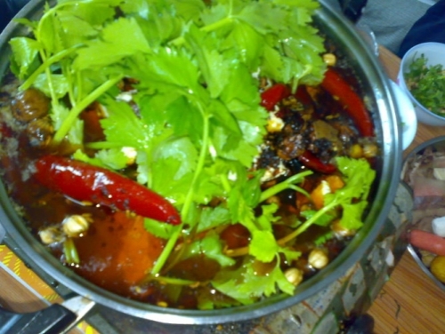 豆花鱼火锅的做法