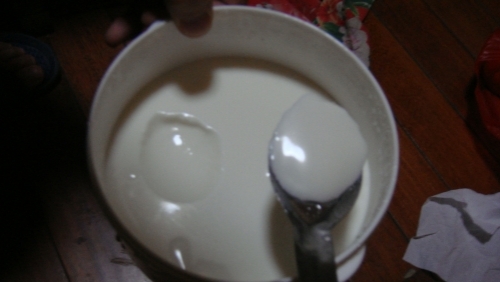 超级正点的自制酸奶~~~的做法